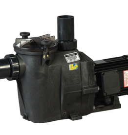 Hayward Hayward Zwembadpomp, type RS II 230v 0.75pk