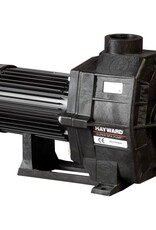 Hayward Hayward Super Spa massagepomp 25m3/h -230V