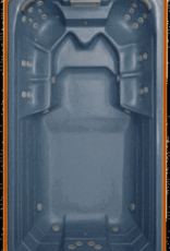 Sunbelt Swimspa deluxe