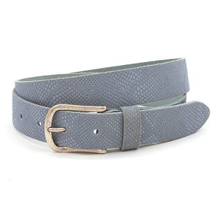 A-Zone Dames riem lila/bleu