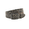 Dames riem taupe/ bruin/zwart luipaard