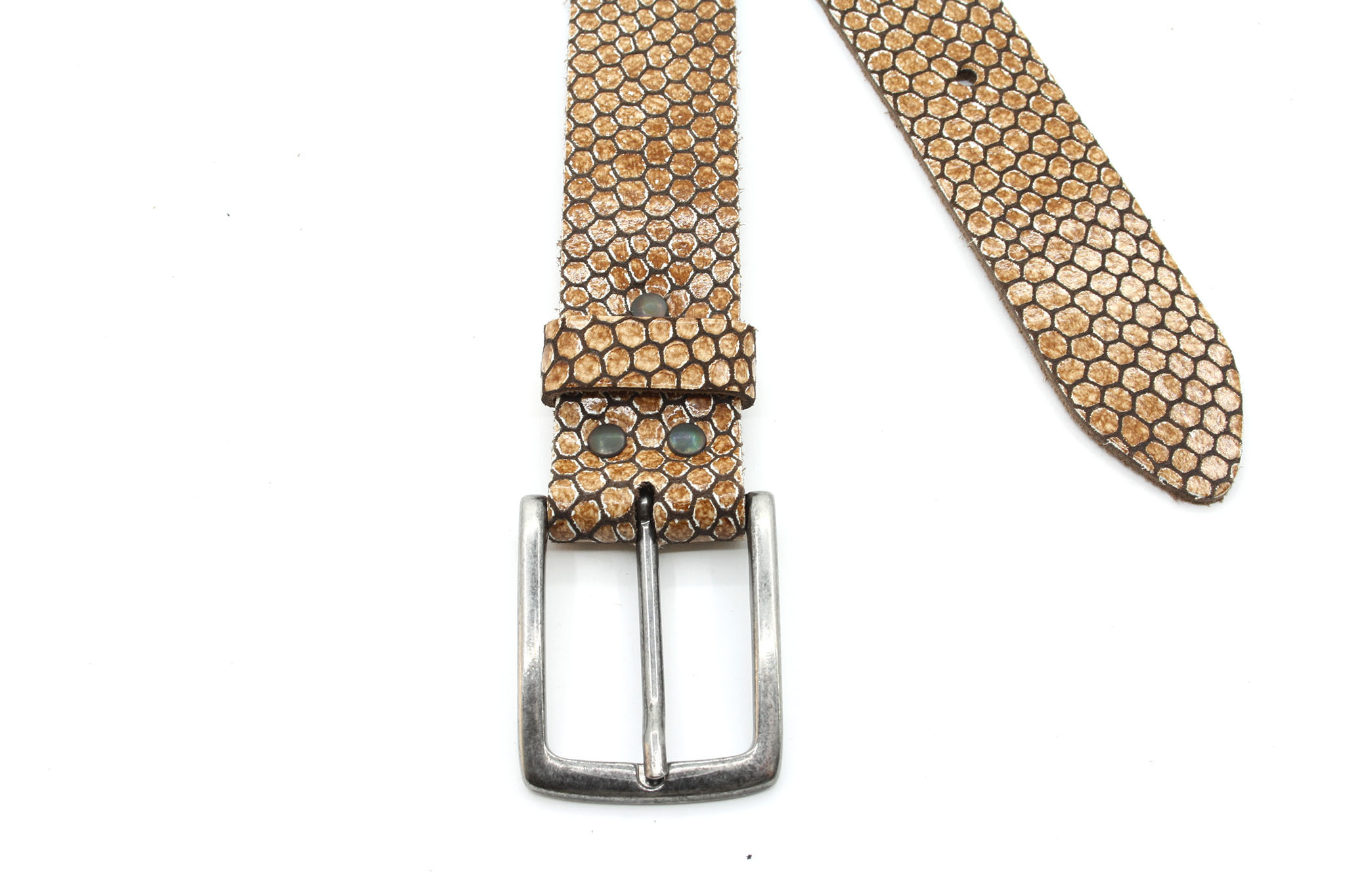 A-Zone Dames riem met fantasie print