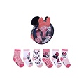 Disney Disney Minnie Mouse Sokken Giftbox 5P