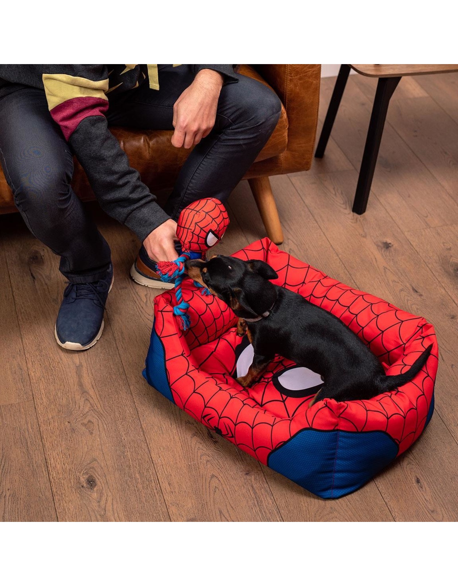 Marvel Spiderman Hondenmand Kattenmand Size S 50 x 35cm
