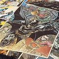 DC Comics Batman Hondenmand Kattenmand