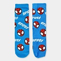 Marvel Spidey and his Amazing Friends Socks in Money Box - 4 Pairs