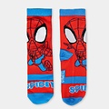 Marvel Spidey and his Amazing Friends Socks in Money Box - 4 Pairs