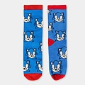 Sonic the Hedgehog Sonic the Hedgehog Socks in Money Box - 4 Pairs of Socks Boys Girls Sonic the Hedgehog Sonic the Hedgehog Socks in Money Box - 4 Pairs of Socks Boys Girls