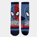 Marvel Spiderman Sokken in Spaarpot - 4 Paar Sokken Jongens Meisjes
