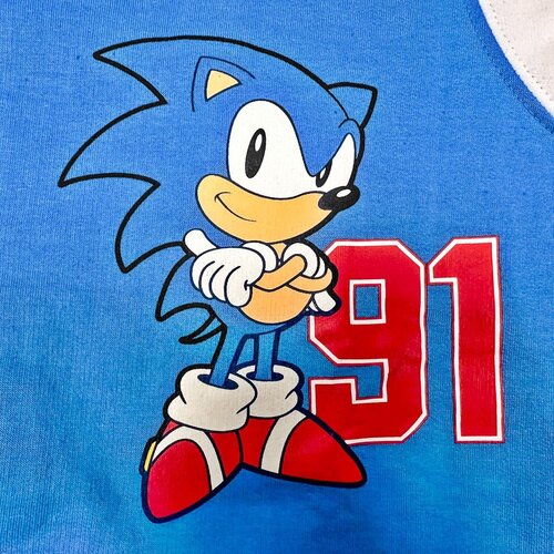 Sonic the Hedgehog Sonic the Hedgehog Jacke Kinder – Baseball Sweatjacke mit Aufdruck – Jungen Gamer Kleidung – Blau/Weiß Sonic the Hedgehog Sonic the Hedgehog Jacke Kinder – Baseball Sweatjacke mit Aufdruck – Jungen Gamer Kleidung – Blau/Weiß