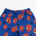 Marvel Marvel Spideman Boys Pyjamas – Cotton – Blue Kids Sleepwear with Long Sleeve Top