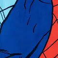 Marvel Spiderman Beach Towel and Goggles Set – Polyester Towel – Quick Dry – Beach and Pool Marvel Spiderman Beach Towel and Goggles Set – Polyester Towel – Quick Dry – Beach and Pool