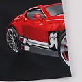 Hot Wheels Hot Wheels Zwembroek Jongens – Kinder Zwemshort met Elastische Band – Sneldrogende Zwembroek