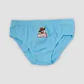 Marvel Marvel Avengers Underwear Set Boys – 5 Pack – Spider-Man Hulk Iron Man – Kids Briefs Set