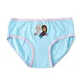 Disney Frozen Underwear Set Girls – 5 Pack – Kids Briefs – Elsa & Anna – With Storage Bag