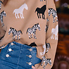 BALDWIN pull camel BALDWIN pull camel