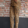 OMA jeans camel OMA jeans camel