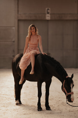 AMAIA top dos nu rose