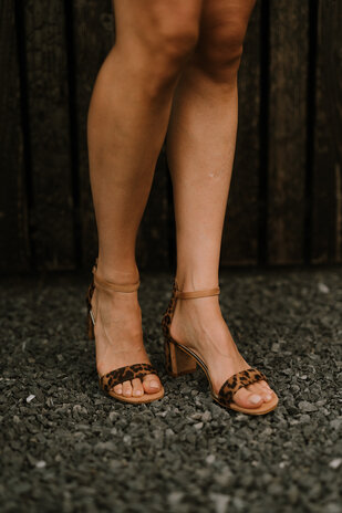 LAZARA talons léopard LAZARA talons léopard