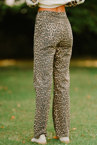 BARBARA jean leopard