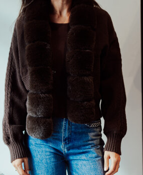 ASSIA gilet chocolat