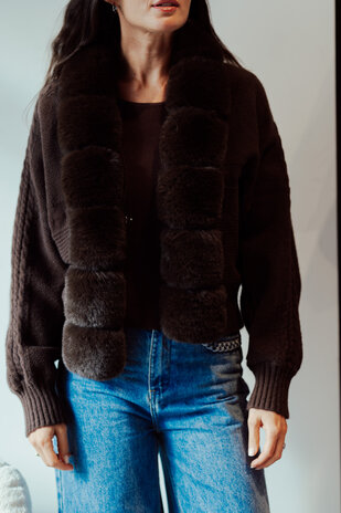 ASSIA gilet chocolat