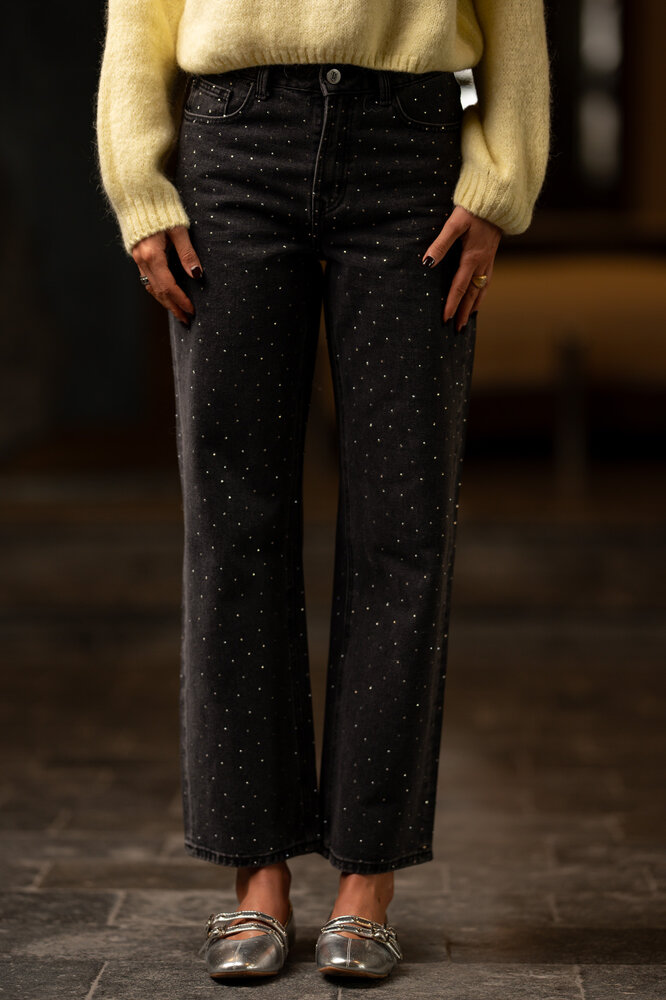 RAWLIN jean à strass