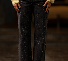 RAWLIN jean à strass