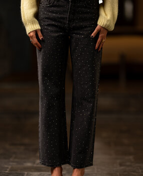 RAWLIN jean à strass