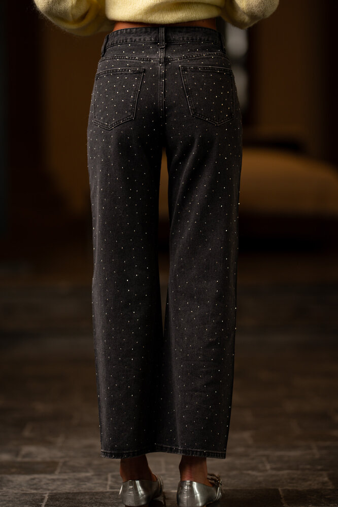 RAWLIN jean à strass