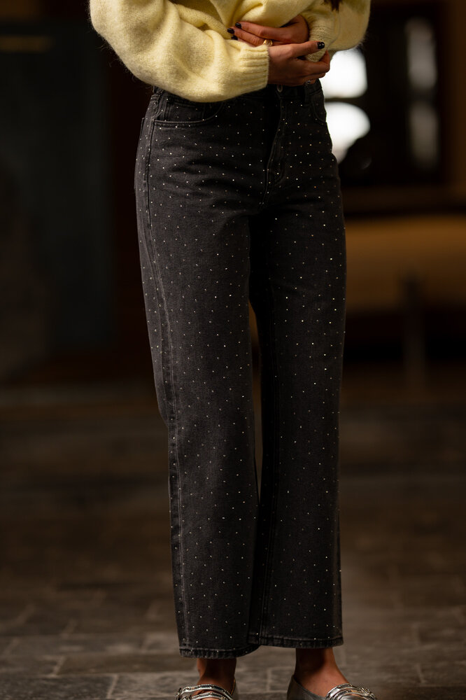 RAWLIN jean à strass