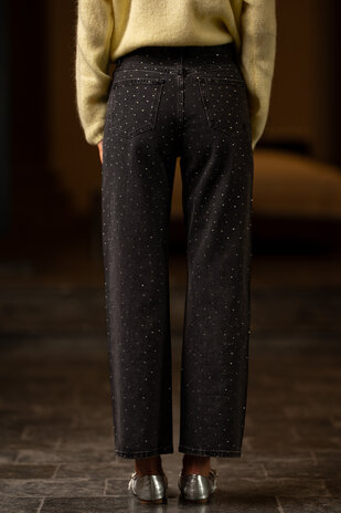 RAWLIN jean à strass