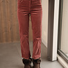 SOLANGE pantalon en velours rose