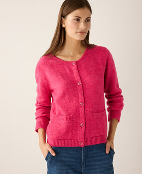 Cardigan court rose