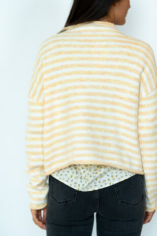 ISIS gilet marinière jaune ISIS gilet marinière jaune