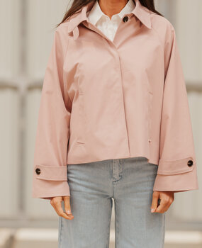 NYSHA trench rose
