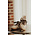 ZALYRA basket beige et chocolat
