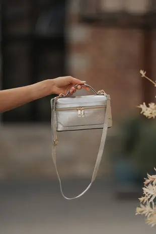 Sac argenté brillant VANITY