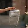 Sac argenté brillant VANITY