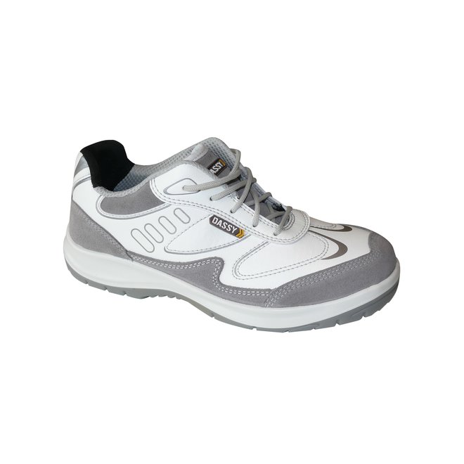 DASSY® Neptunus schilders schoenen S3