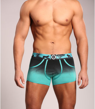 Men's Boxer Shorts | Turquoise | Lion