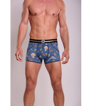 Heren Boxershort | Blue Printed | Fallen King