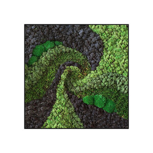 Moss square Twist