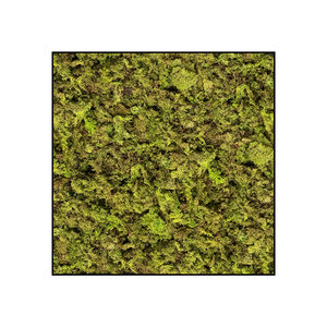 Moss square ECO Apricis