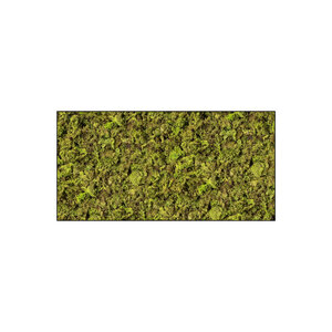 Moss rectangle ECO Apricis