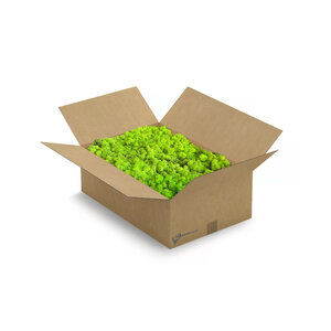 Reindeer moss box [XL] Apricis