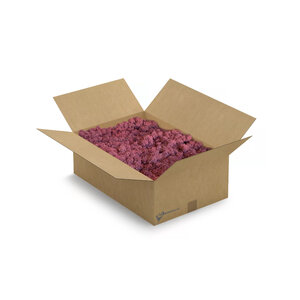 Reindeer moss box XL Bordeaux 0,40 m²