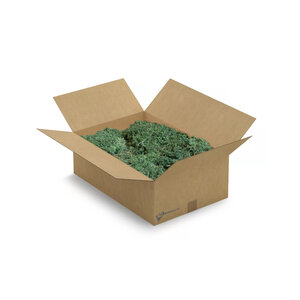 Reindeer moss box XL Forest Mix 0,40 m²
