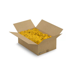 Reindeer moss box XL Solis 0,40 m²