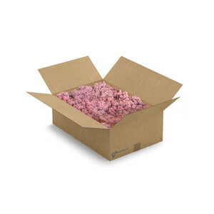 Reindeer moss box XL Rozea 0,40 m²